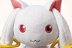 news kyubey