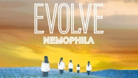 NEMOPHILA Third Album Release &quot;EVOLVE&quot; - Budokan Show Heads Up