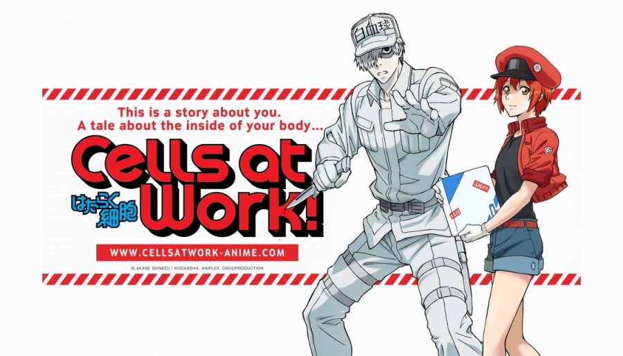 Cells at Work! Panel @ Anime Expo 2018